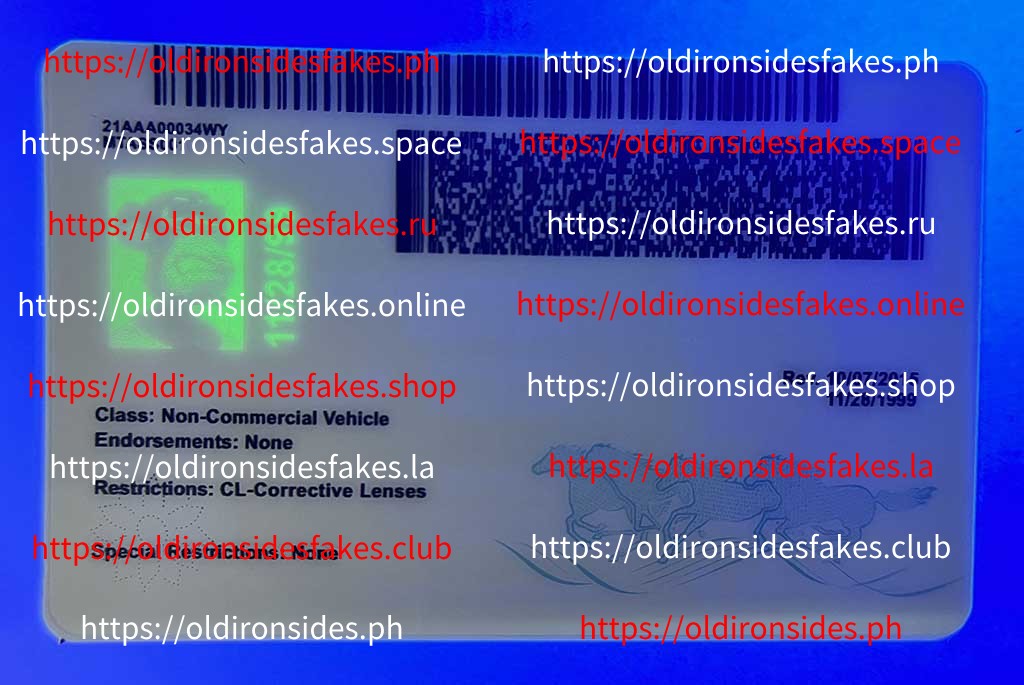 Montana Driver License (MT) - Image 2