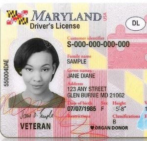 Read more about the article What You Need to Know About Maryland Driver License Renewal