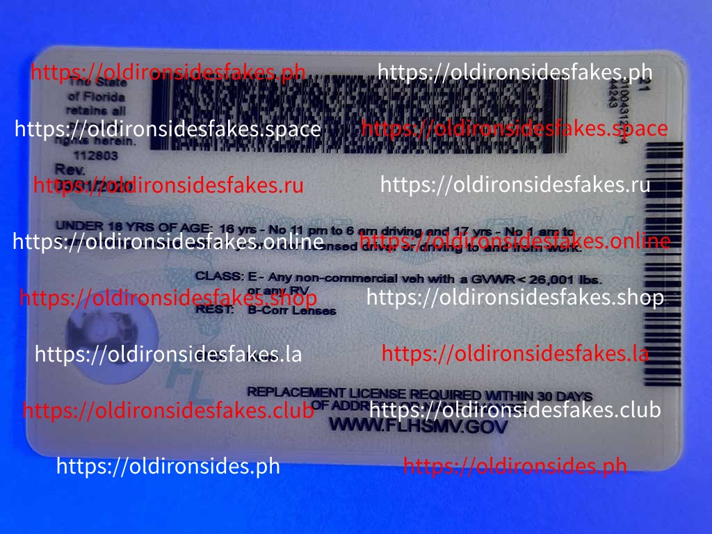 Florida Driver License(New FL U21 DRIVER V2) - Image 2