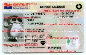 Arizona Driver License(AZ)