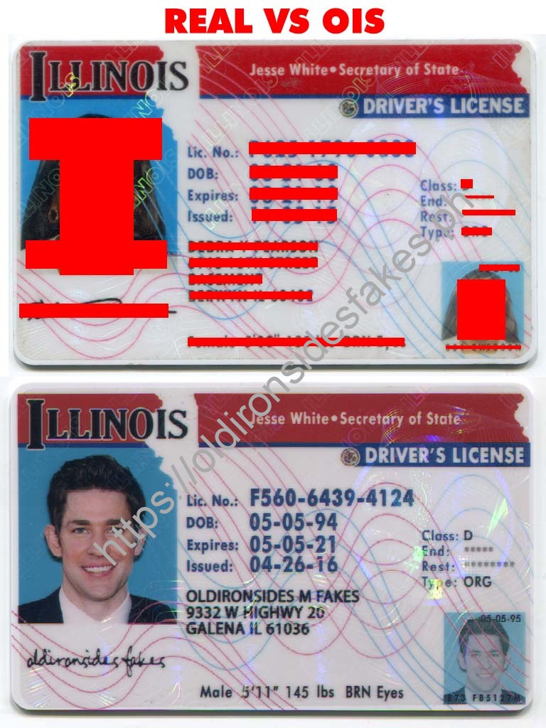 Illinois Driver License