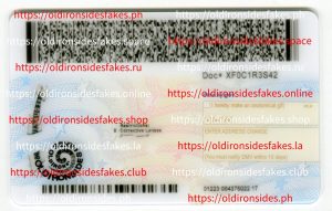 New York Driver License(NY O21 2020)