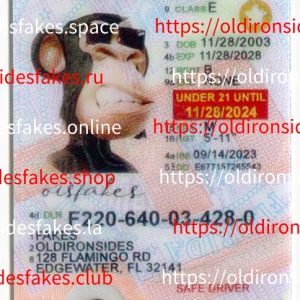 Florida Driver License(New FL U21 DRIVER V2)