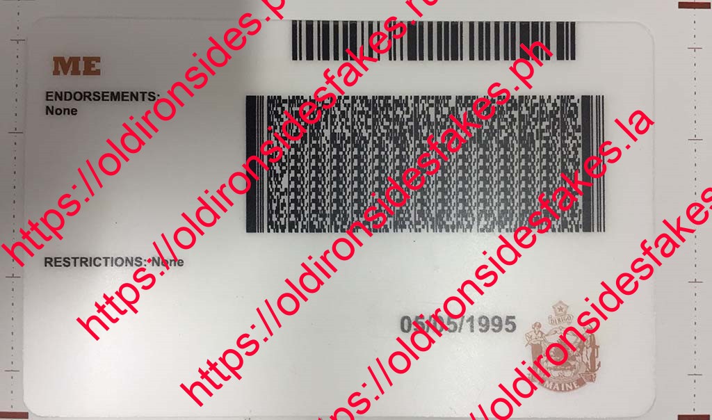 Maine Driver License (Old ME) - Image 2