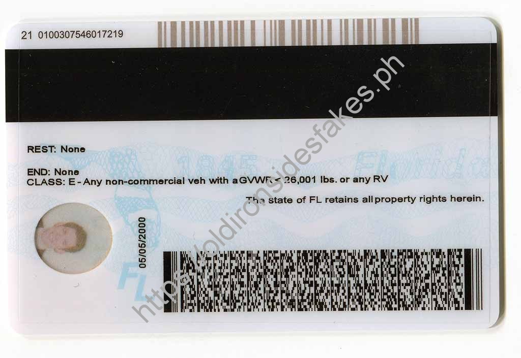 Florida Driver License(New FL U21 DRIVER V1) - Image 2
