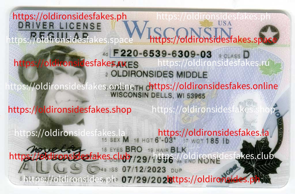 Wisconsin Driver License(WI)