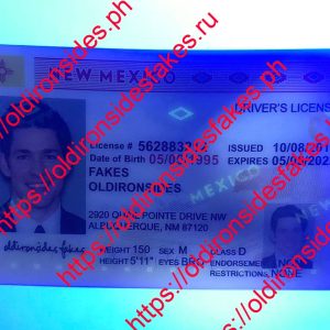 New Mexico Driver License (NM)