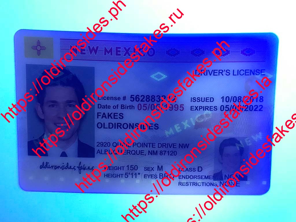 New Mexico Driver License (NM) - Image 2