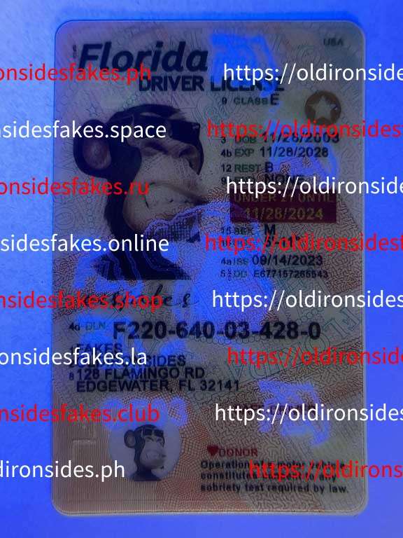 Florida Driver License(New FL U21 DRIVER V2) - Image 3