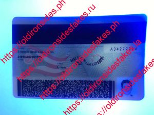 Ohio Driver License(New OH)