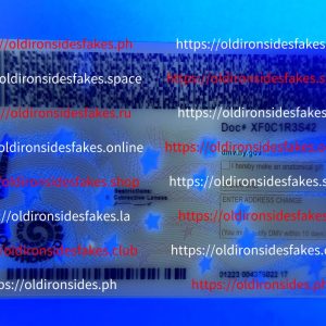 New York Driver License(NY U21)