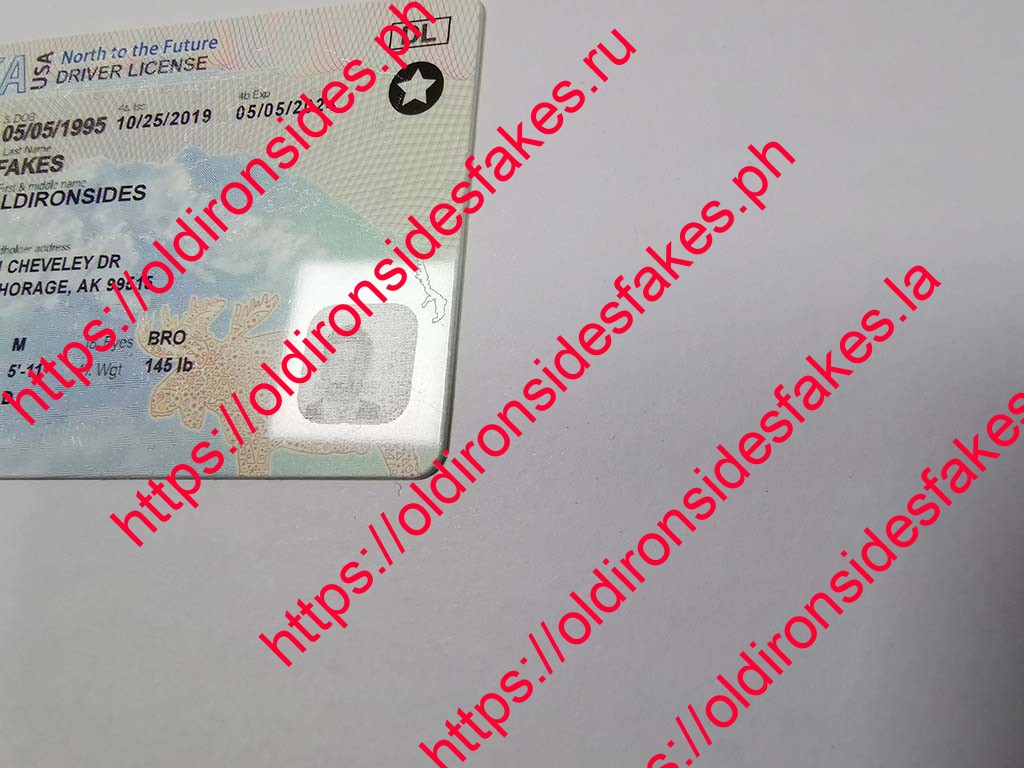 Alaska Driver License(AK) - Image 2