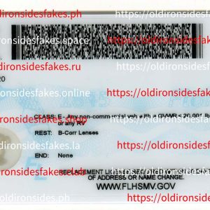 Florida Driver License(New FL O21 V1)