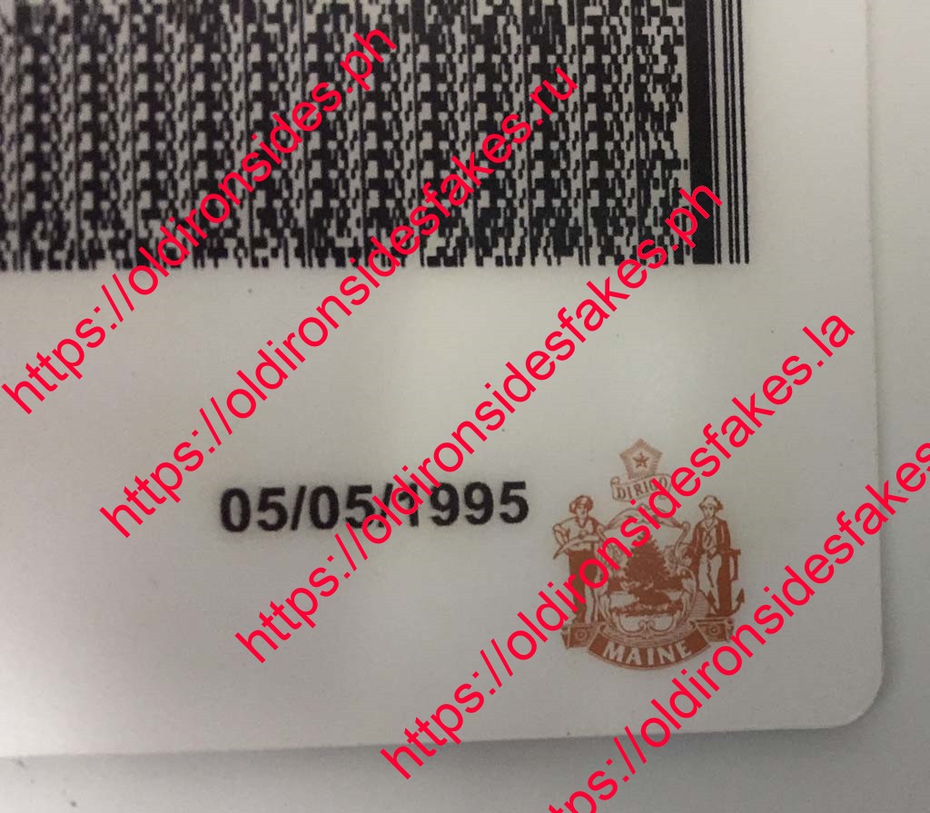 Maine Driver License (Old ME) - Image 3