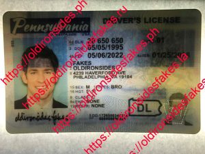 Pennsylvania Driver License(New PA O21)