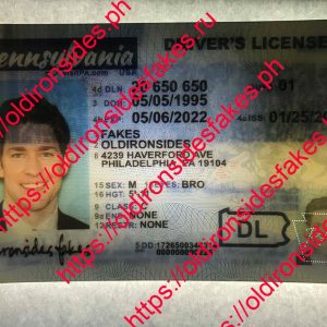 Pennsylvania Driver License(New PA O21)